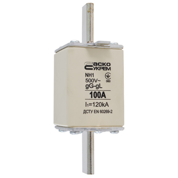 Запобіжник Аско-Укрем NH1 100A gG (A0050010028) - фото №2