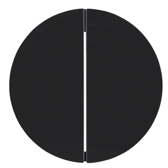 Клавиши для 2-клавишного выключателя черная Berker R.x