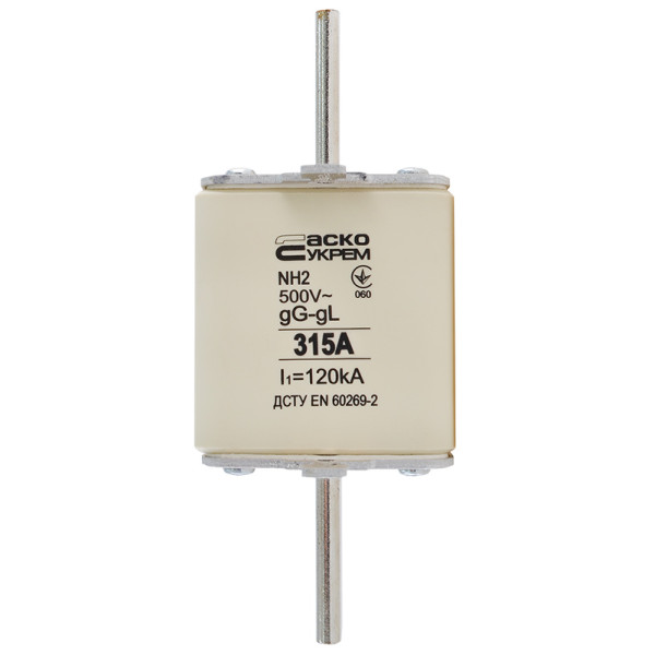 Запобіжник Аско-Укрем NH2 315A gG (A0050010036)