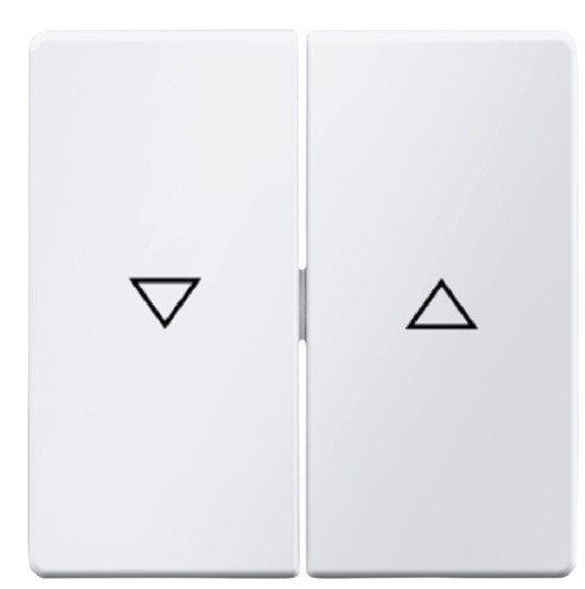 Двоклавішна клавіша вимикача Berker Qx 16256089 із символом «Стрілка» (полярна білизна)