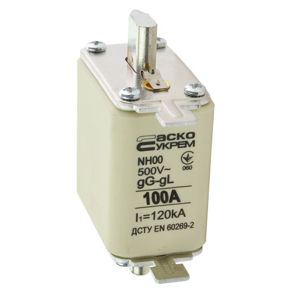 Запобіжник Аско-Укрем NH00 100A gG (A0050010015) - фото №1