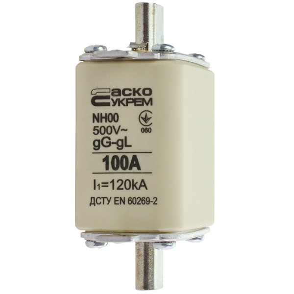 Запобіжник Аско-Укрем NH00 100A gG (A0050010015) - фото №2