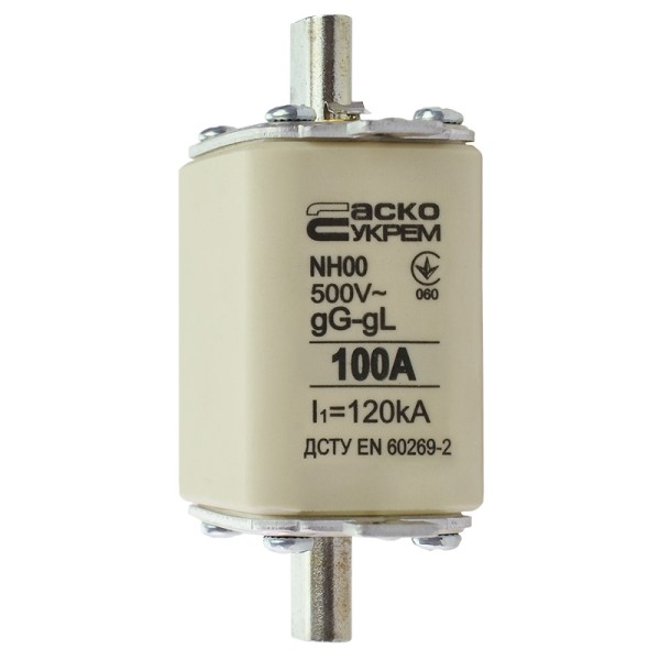 Запобіжник Аско-Укрем NH00 100A gG (A0050010015) - фото №3