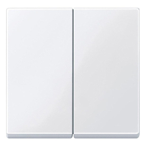 Клавіша вимикача подвійна SYSTEM M біла Merten, MTN432525