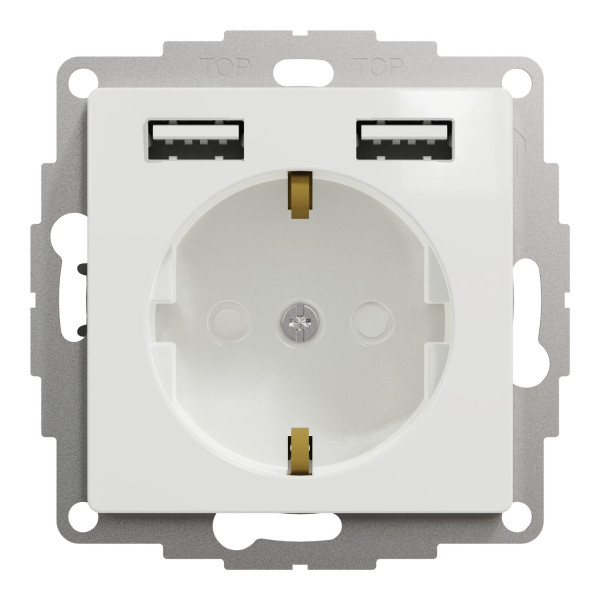 Розетка Schneider Electric Sedna Design & Elements з заземленням та 2 USB тип А біла SDD111052 - фото №1