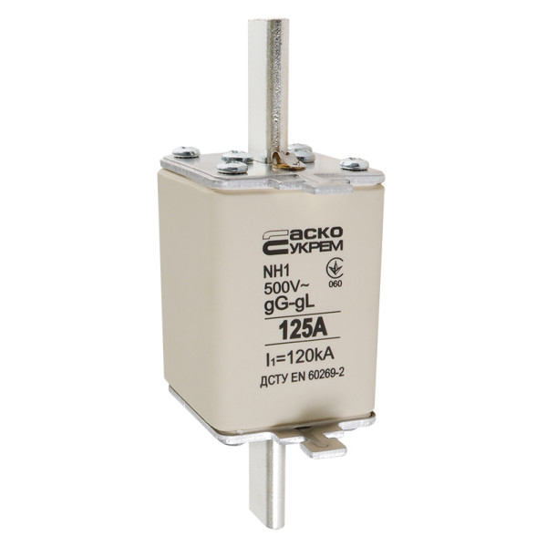 Запобіжник Аско-Укрем NH1 125A gG (A0050010029) - фото №1