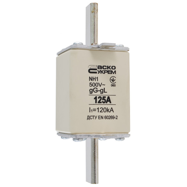 Запобіжник Аско-Укрем NH1 125A gG (A0050010029) - фото №2