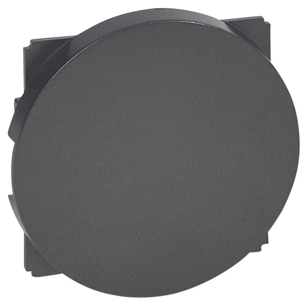Заглушка Legrand Celiane (067943) (графит)