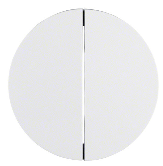 Клавиши для 2-клавишного выключателя полярная белизна Berker R.x