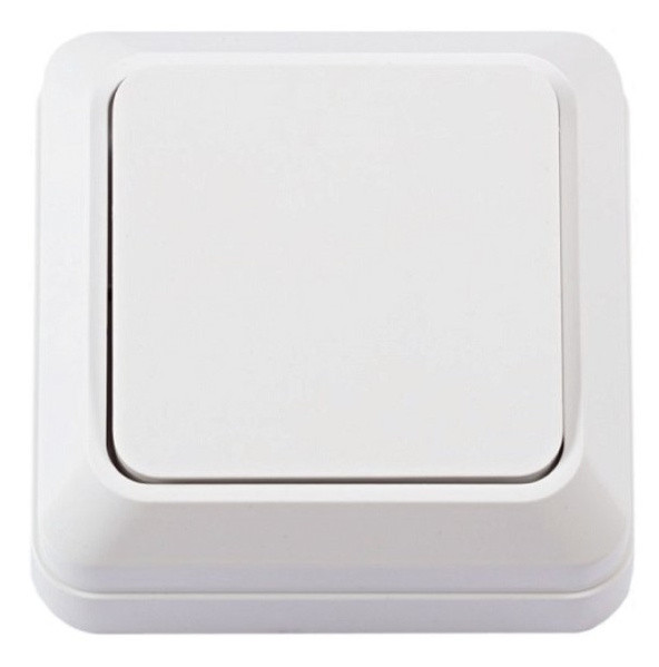 Выключатель 1-клавишный TNSy Leon IP20 белый (TNSy5000058)