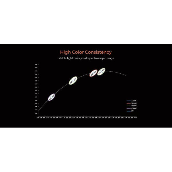 LED стрічка COLORS COB-24V-IP20 9.6W 660Lm 2700K 5м (DRF10-24V-8mm-SW) - фото №6