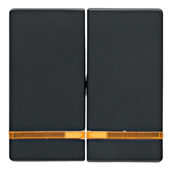 Клавиши для 2-клавишного выключателя с подсветкой антрацит Berker Q.х