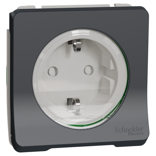 Розетка Schneider Electric MUR36134 с з/к и шторками IP55 (черный)