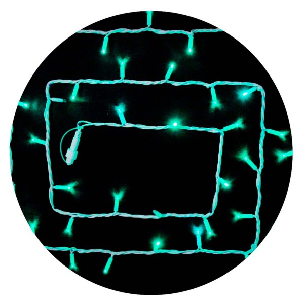 Біла вулична світлодіодна гірлянда Delux EN STRING 100LED (90016598) 10м (2х5м) IP44 (зелене світло)