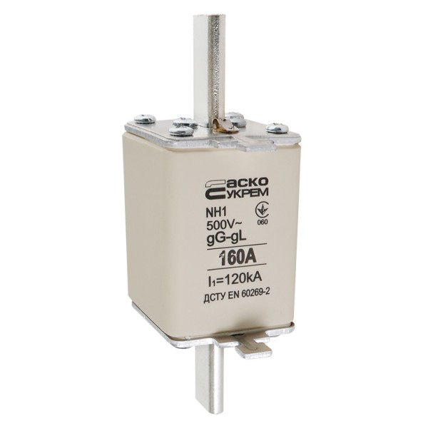 Запобіжник Аско-Укрем NH1 160A gG (A0050010030) - фото №1
