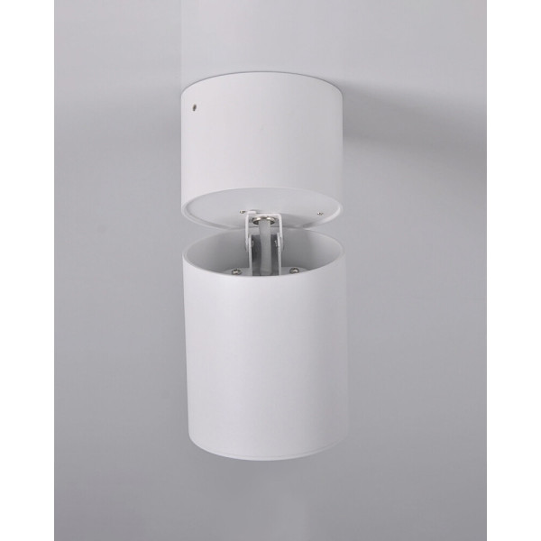 Светильник поворотный, спот Goldlux 314062 Astra GU10 1x10W IP20 белый - фото №3