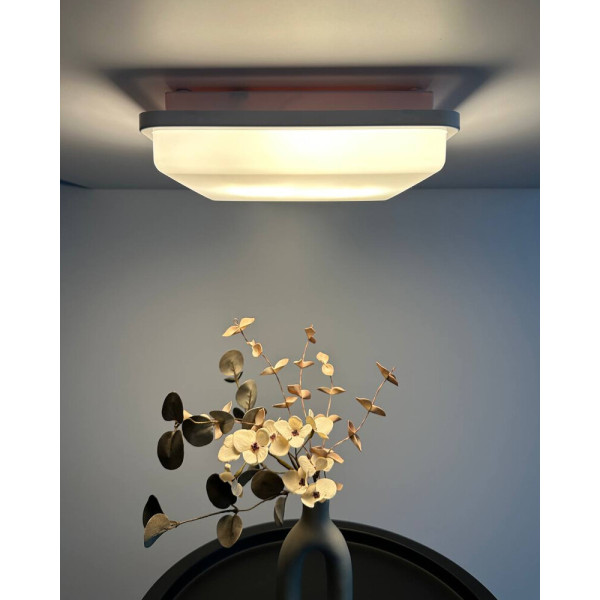 Потолочный светильник с датчиком движения Nowodvorski 10040 Tahoe II Sensor E27 2x15W IP44 белый - фото №2