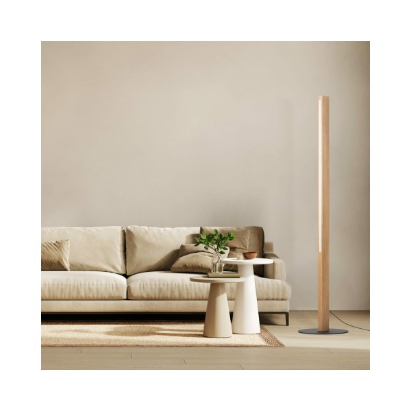 Торшер TK Lighting 1391 Teo Led 1x36W 3000K IP20 - фото №1