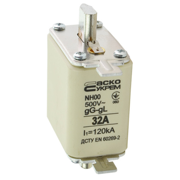 Запобіжник Аско-Укрем NH00 32A gG (A0050010010) - фото №1