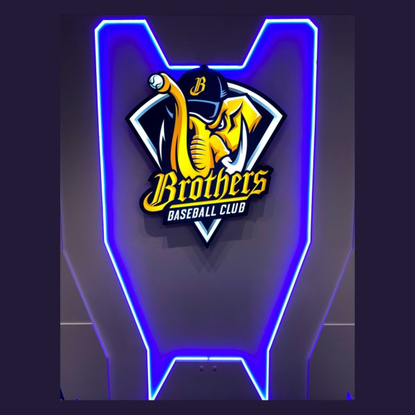 LED стрічка Smart SPI COLORS 60-5050-12V-IP20 6000K 8.4W 5м (DS560-12V-10mm-W) - фото №3