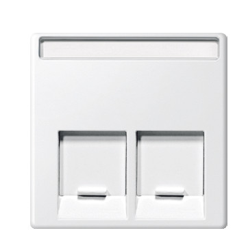 Центральная панель компьютерной розетки двойная RJ11 или RJ45 белая Merten, MTN469925