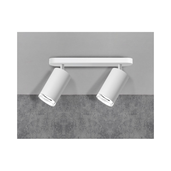 Светильник поворотный, спот Goldlux 324795 Turyn GU10 2x10W IP44 Белый - фото №1