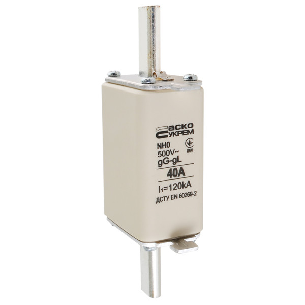 Запобіжник Аско-Укрем NH0 40A gG (A0050010020) - фото №1