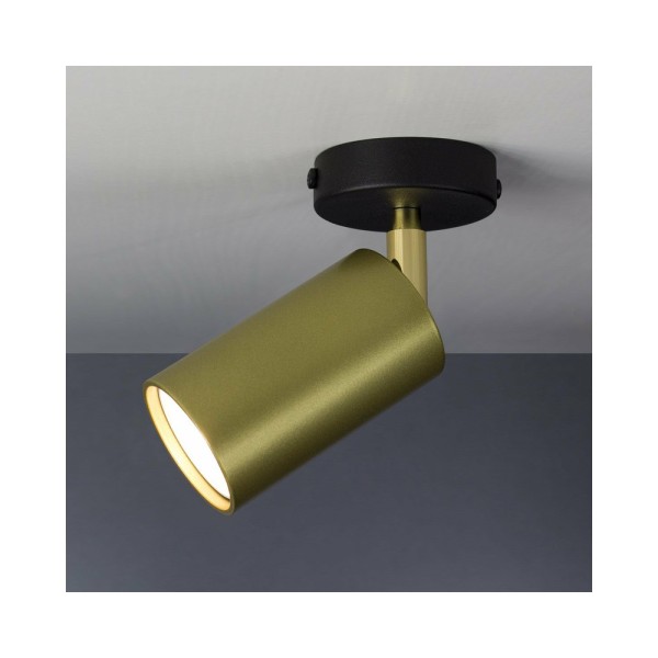 Светильник поворотный, спот Imperium Light 591145.12.05 Accent