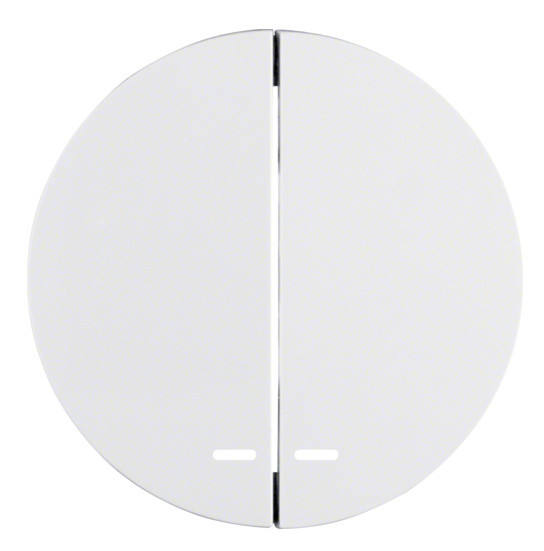 Клавиши для 2-клавишного выключателя с подсветкой полярная белизна Berker R.x