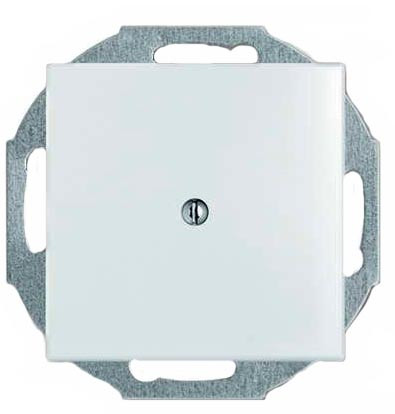 Заглушка ABB Basic 55 2538-94-507 (белая)