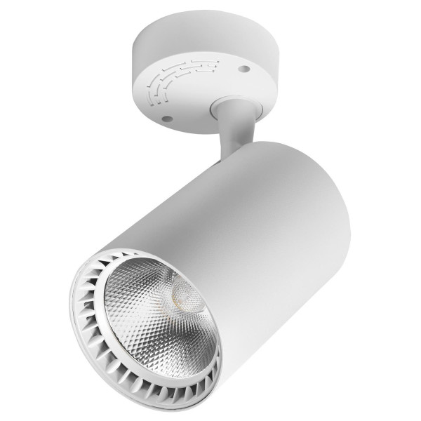 Настінно-стельовий поворотний світильник Delux TL02S 30Вт 4000K 36° білий (90015902)