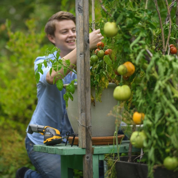 Аккумуляторный кусторез Stiga SGM102AE 10,8В - фото №10