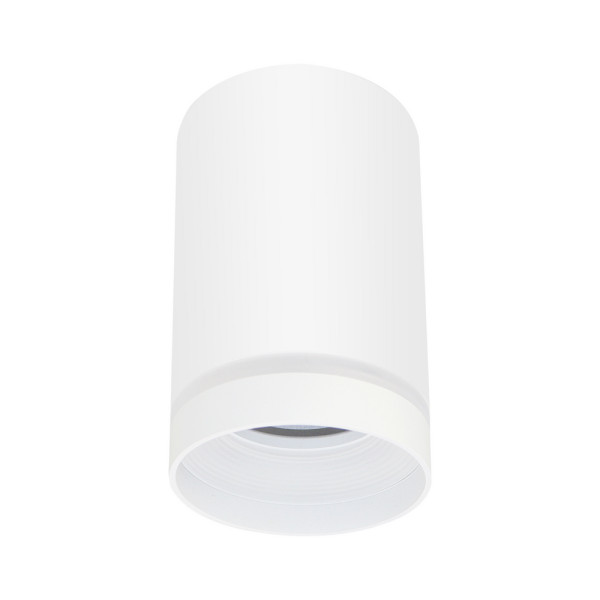 Точечный светильник Goldlux 319883 Fabri GU10 1x10W IP20 WH