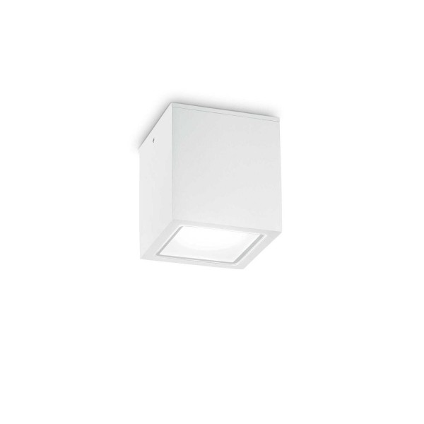 Вуличний світильник Ideal Lux 251561 Techo