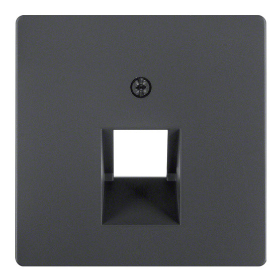 Накладка для розетки UAE антрацит Berker Q.х