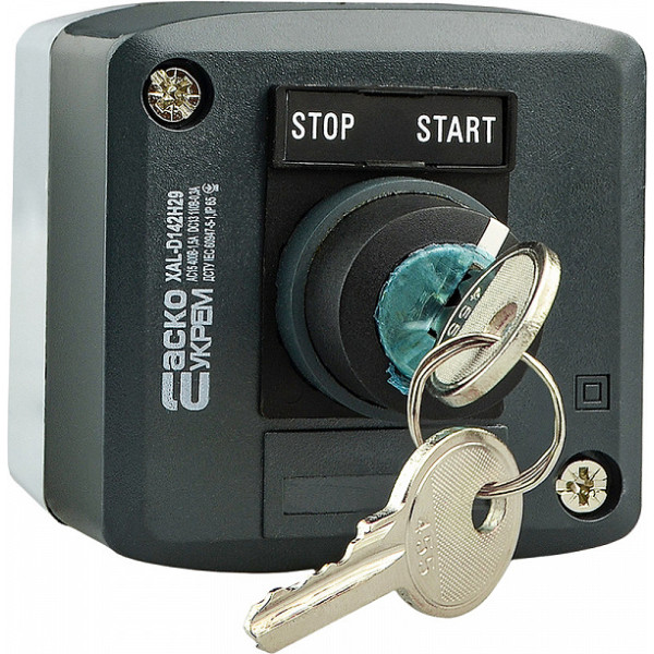 Пост одноместный Аско-Укрем XAL-D142H29 2-позиционный с ключом (A0140020059)