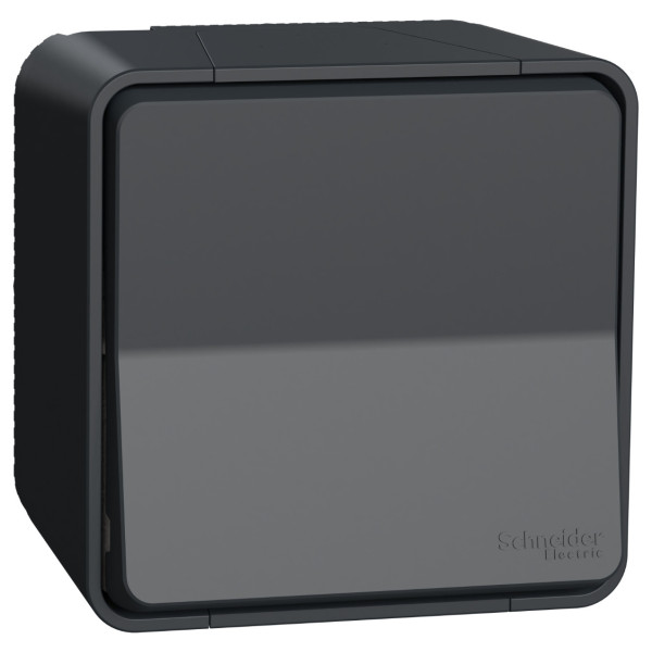 Накладний 1-клавішний вимикач Schneider Electric MUR35021 IP55 (чорний)