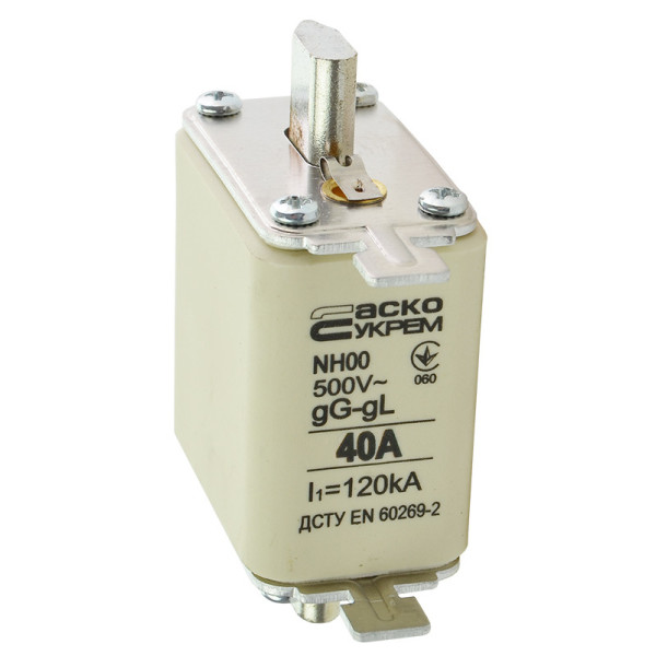 Запобіжник Аско-Укрем NH00 40A gG (A0050010011) - фото №1