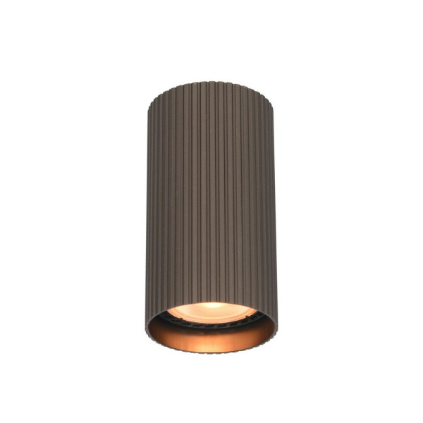 Точечный светильник Italux CLN-83920-S-BRO Rilok GU10 1x10W IP20 Brown