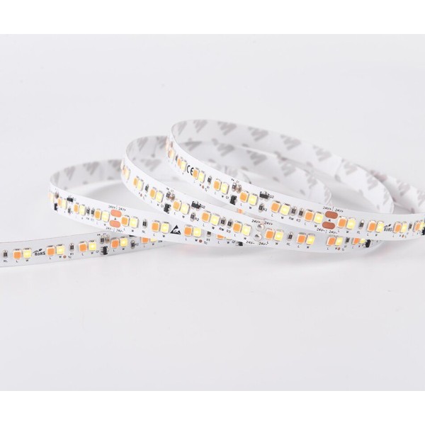 LED лента COLORS 168-2835-24V-IP20 13.5W 580Lm 1900K+3000K 5м (DS8168GWWW-24V-10mm) - фото №2