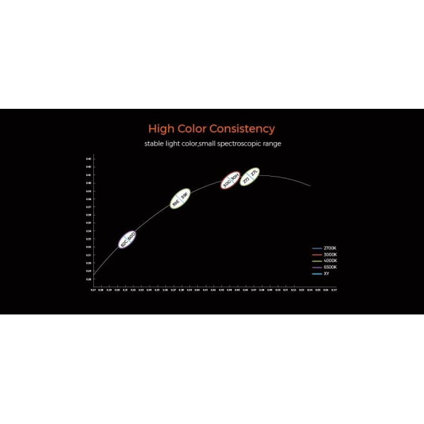 LED стрічка COLORS COB-24V-IP20 7.2W 605Lm 3000K 5м (DRF6-24V-8mm-WW) - фото №5