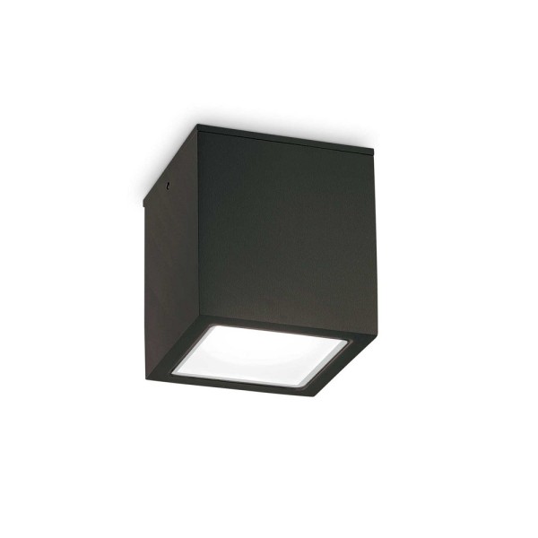 Вуличний світильник Ideal Lux 251530 Techo