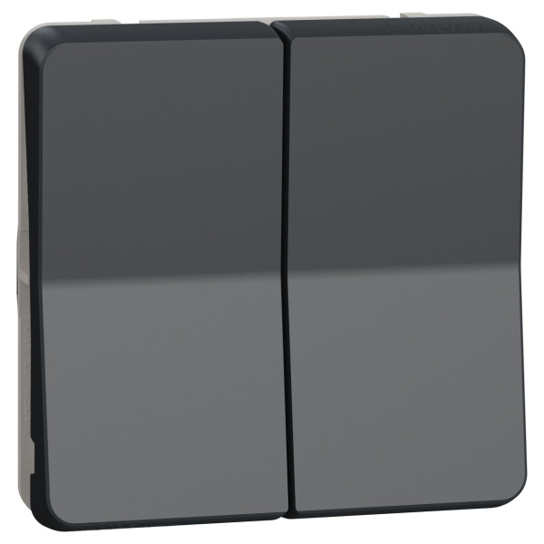 Проходной 2-клавишный переключатель Schneider Electric MUR35019 (сх.6+6) IP55 (черный)