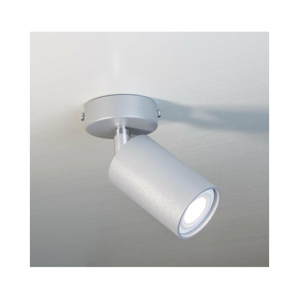 Светильник поворотный, спот Imperium Light 591145.22.22 Accent