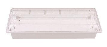 Аварийный светильник Delux REL-218 2x8В ІР20