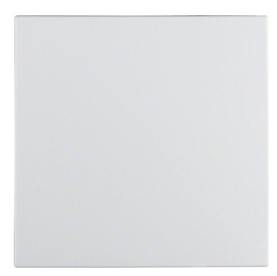 Клавиша одинарная, полярная белизна матовая, Berker S.1/B.3/B.7