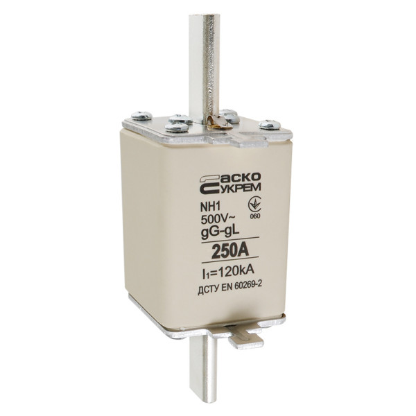 Запобіжник Аско-Укрем NH1 250A gG (A0050010032) - фото №1