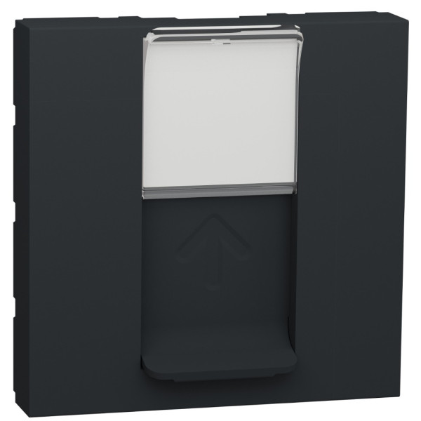 Накладка для розетки RJ45 Schneider Electric NU941154 2М (антрацит)