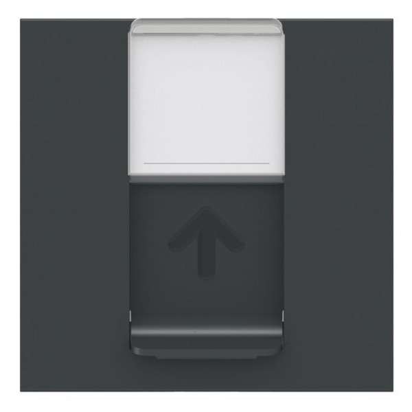Накладка для розетки RJ45 Schneider Electric NU941154 2М (антрацит) - фото №1