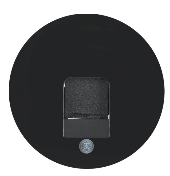 Накладка для суппортов под модуль RJ12/RJ45 черная Berker R.x